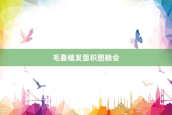 毛囊植发面积图融会