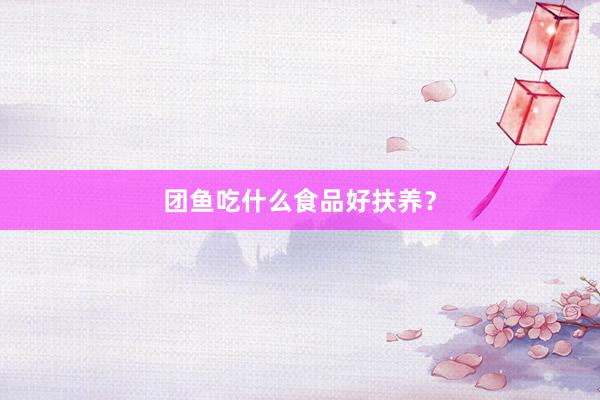 团鱼吃什么食品好扶养？